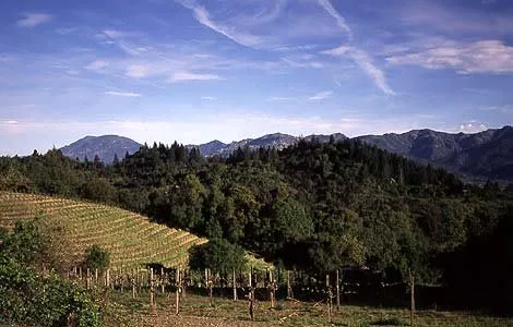 Southbridge Napa Valley photo 4