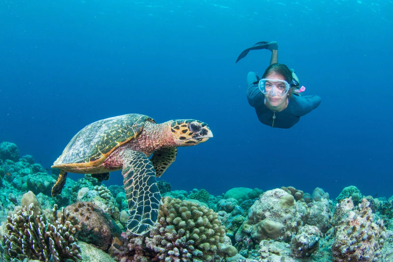 InterContinental Hotels MALDIVES MAAMUNAGAU RESORT by IHG photo 5