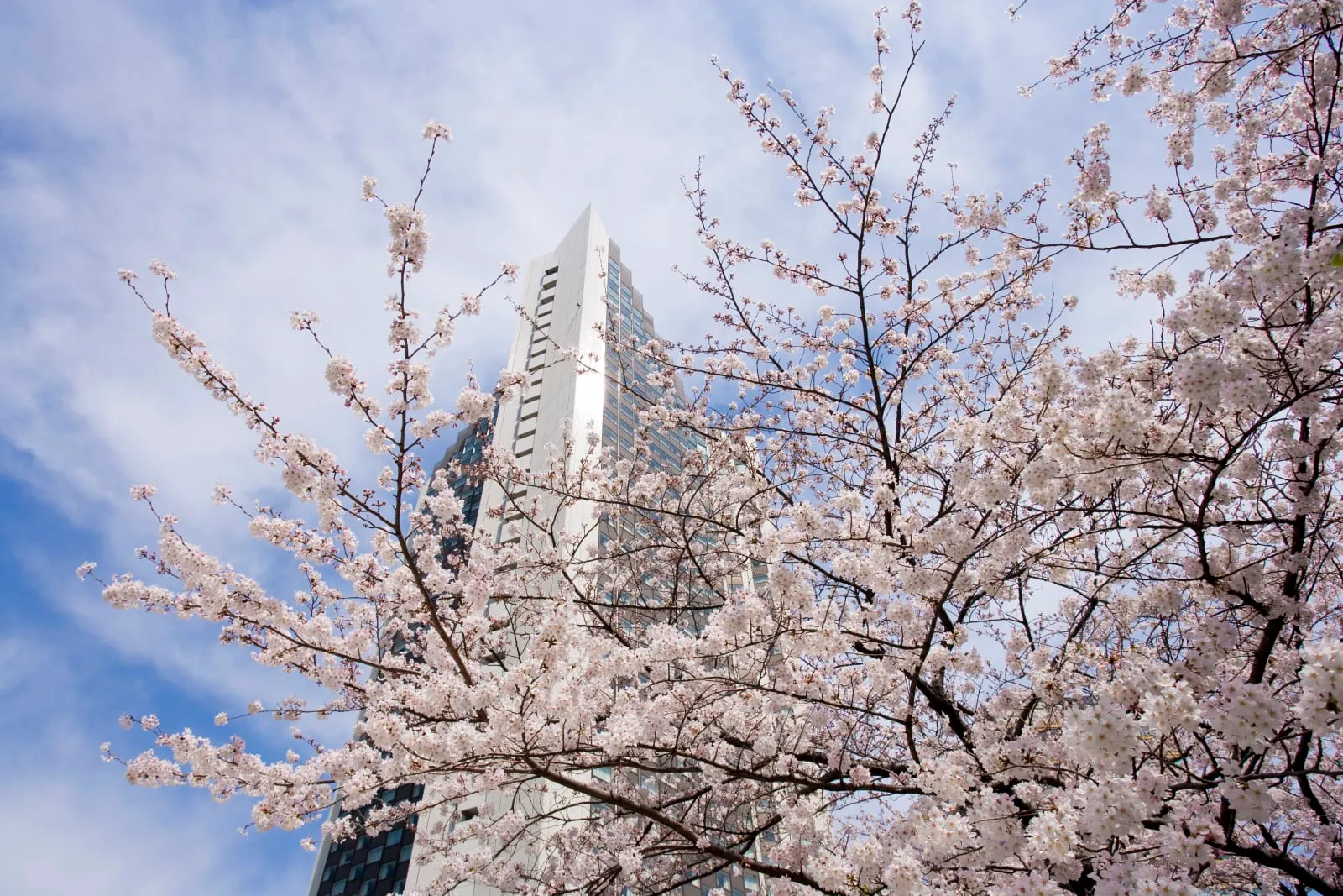 ANA InterContinental TOKYO by IHG photo 1