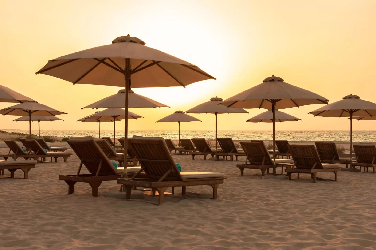 The St. Regis Saadiyat Island Resort, Abu Dhabi photo 5