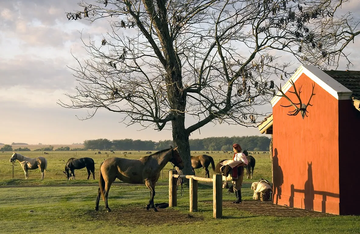 Estancia La Bamba de Areco photo 2