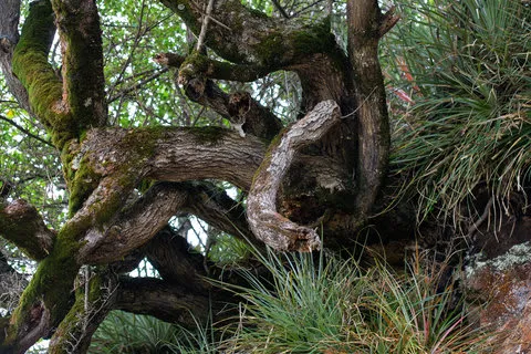 Mari Mari Natural Reserve Experience photo 4