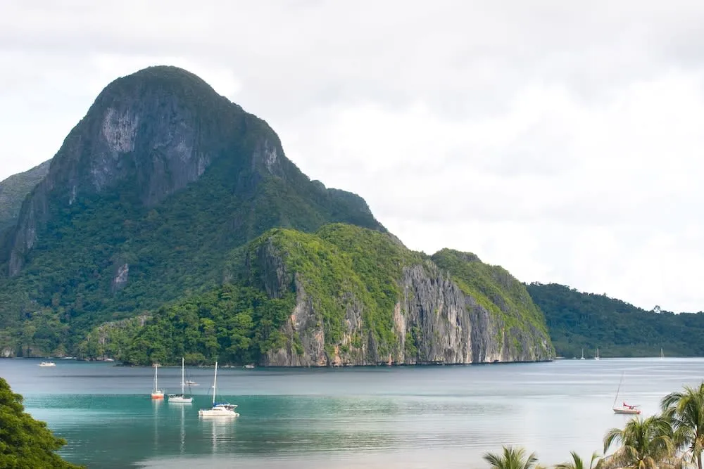 The Funny Lion - El Nido photo 2