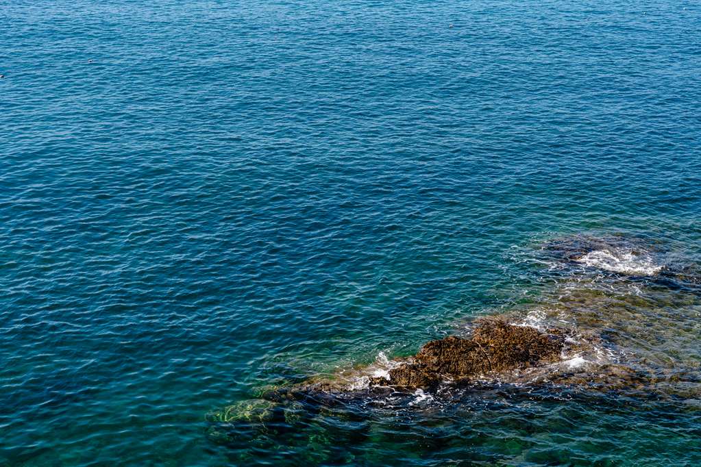 Excelsior Palace Portofino Coast photo 4