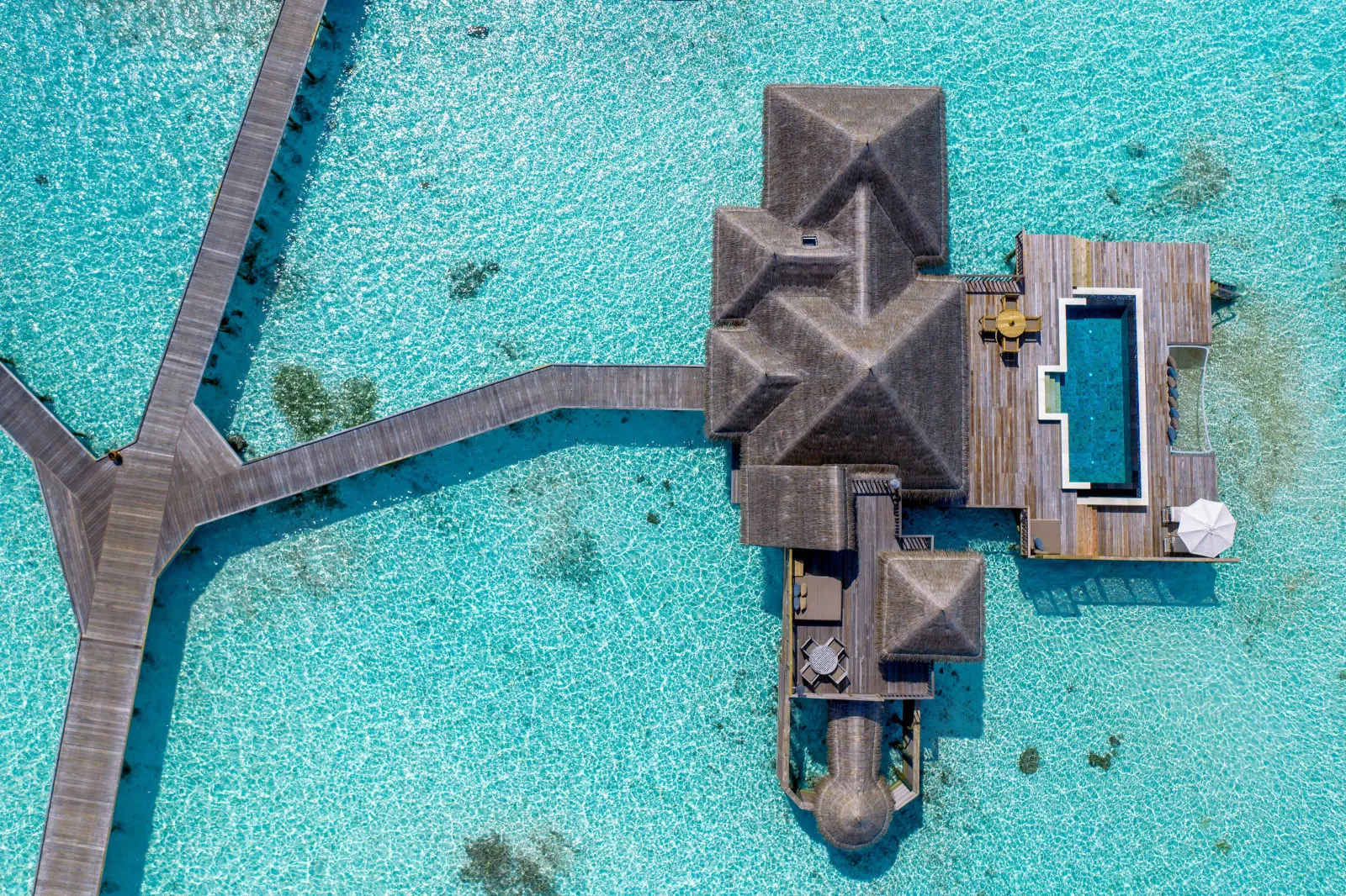 Gili Lankanfushi Maldives photo 5