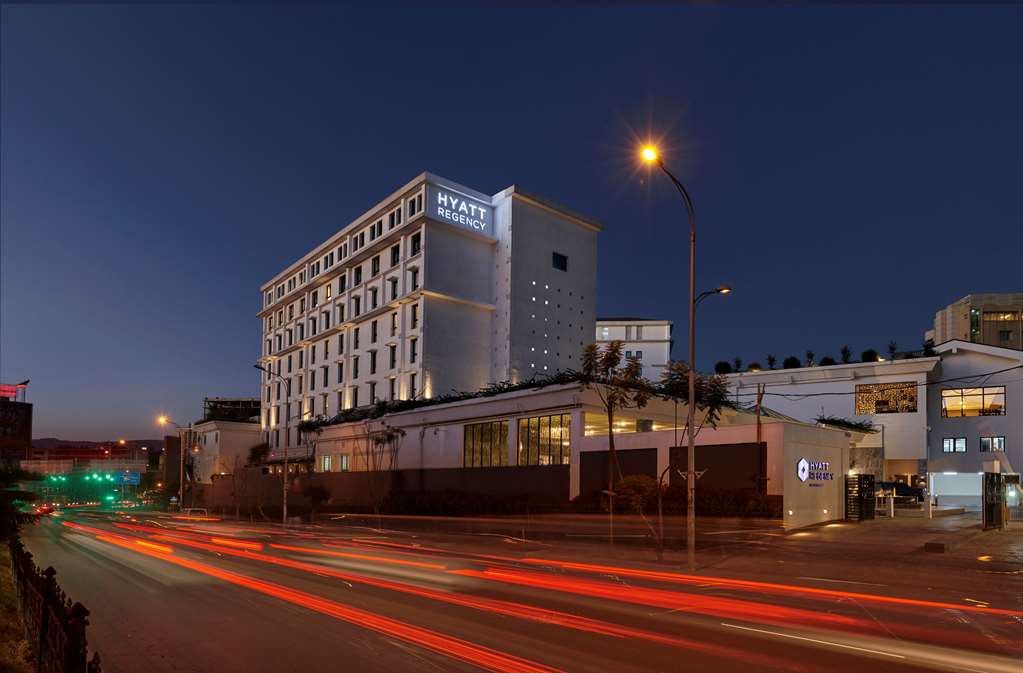 Hyatt Regency Addis Ababa photo 1