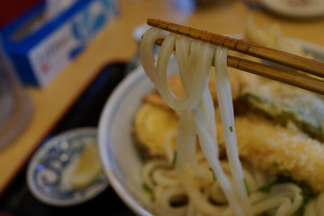 Teuchi Udon Teraya: Handgemachte Sanuki-Udon — 2