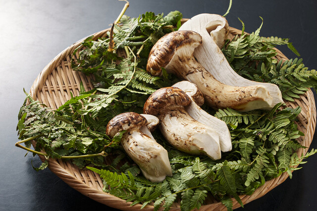Hiyama: Matsutake- und Weißtrüffel-Menüs am Abend — 5