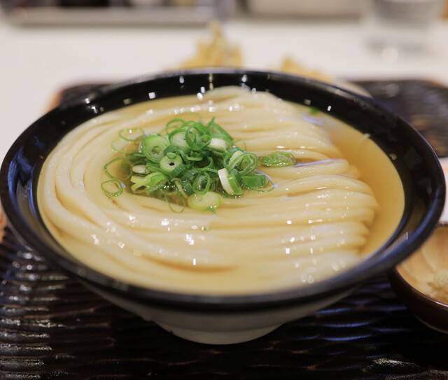 Udon Maruka: authentische Sanuki-Udon — 1