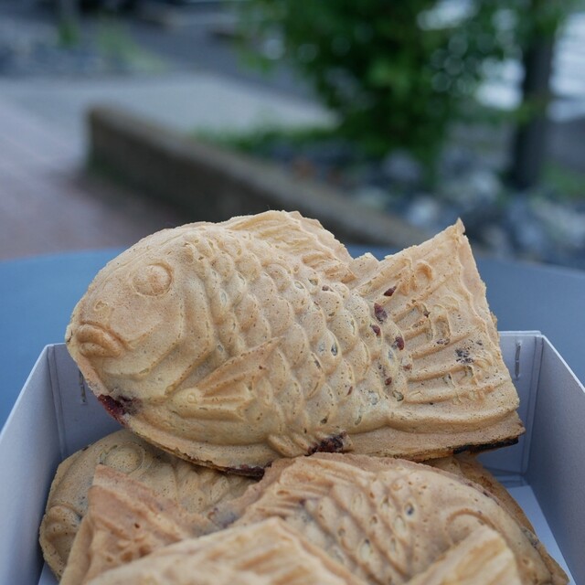 Taiyaki Wakaba: legendäre, einzeln gebackene Taiyaki — 4