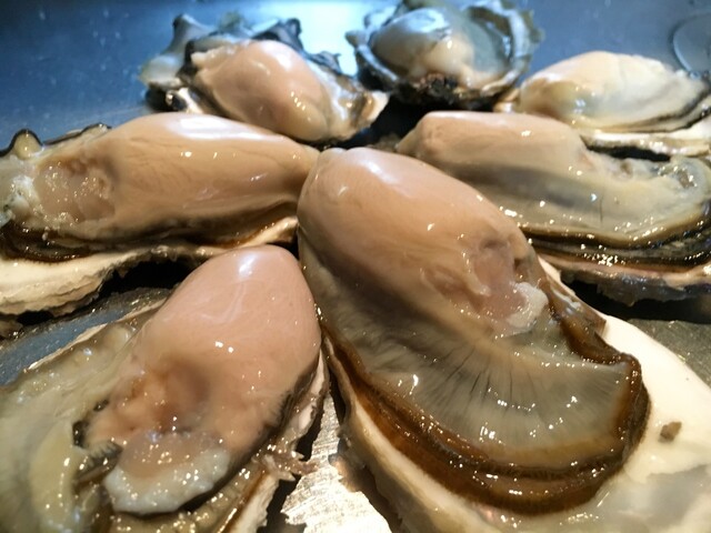 Sanchokuya Taka: A Sake-Pairing Seafood Omakase — 2