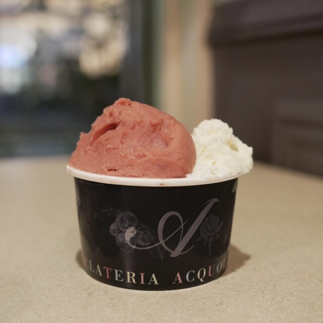 GELATERIA ACQUOLINA: Handwerkliches saisonales Gelato — 3