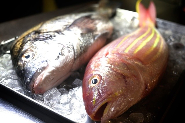Peruvian Bepoca: Refined Peruvian Tasting Menus — 4