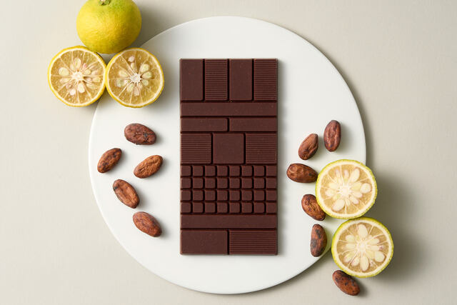 Minimal Tomigaya honten: Bean-to-Bar-Schokolade — 2