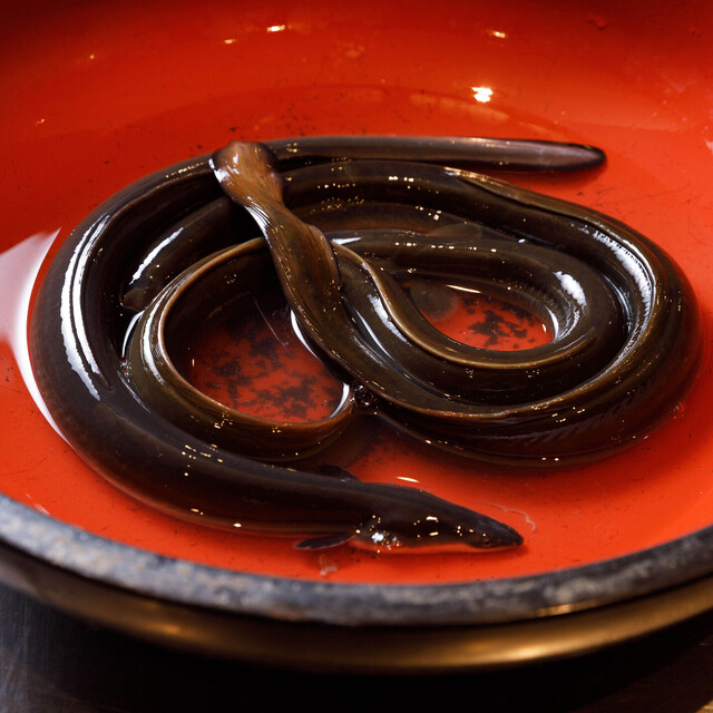 Sangu Bashi Asaya: An Omakase Dedicated to Unagi — 2