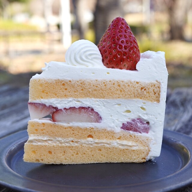 SWEETS garden YUJI AJIKI: Kuchen zum Mitnehmen vom Weltmeister — 2