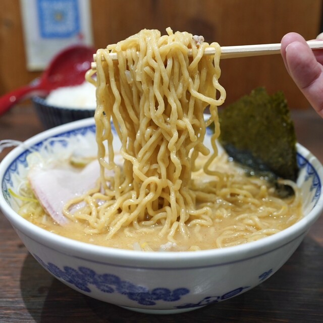 Yukiguni: Miso-Ramen im Myoko-Stil, frisch pfannengerührt — 5