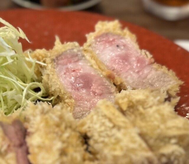 Tonkatsu Souki: Niedrigtemperatur-Tonkatsu mit Reis aus dem Hagama — 3