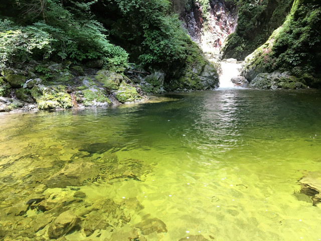 Daigahara Kinseiken Honten: Shingen-Mochi und Wasserkuchen — 2