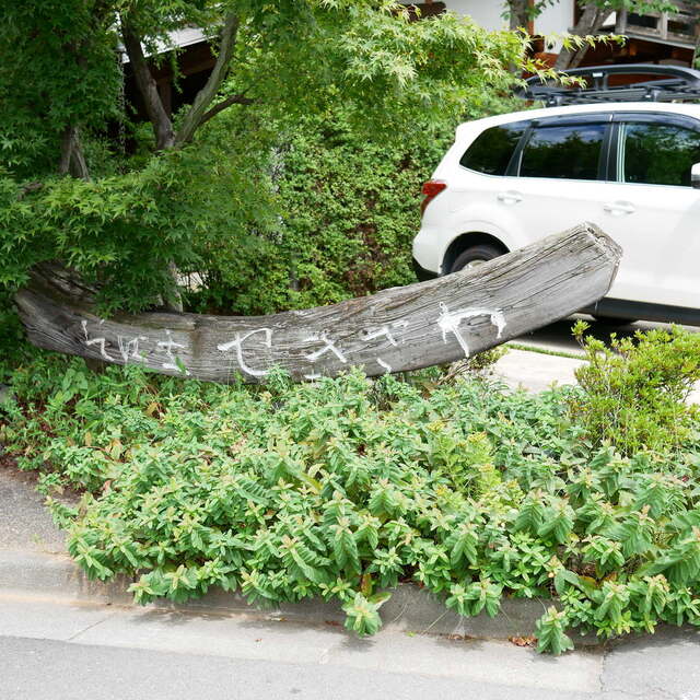 Sekizawa: Soba aus eigenem Buchweizen, serviert als Dreierfolge — 5