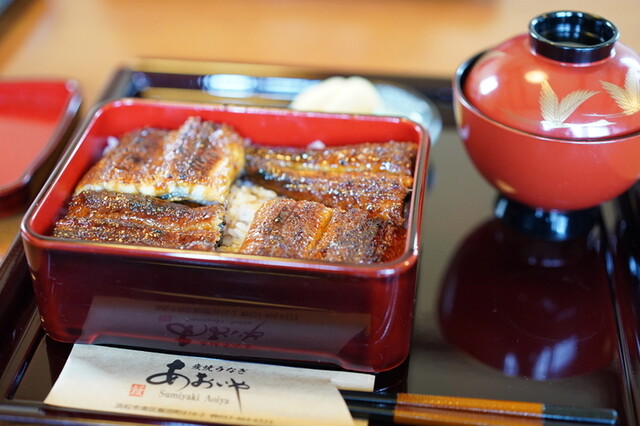 Sumiyaki Unagi Aoiya: Aal vom Holzkohlegrill nach Kansai-Art — 3