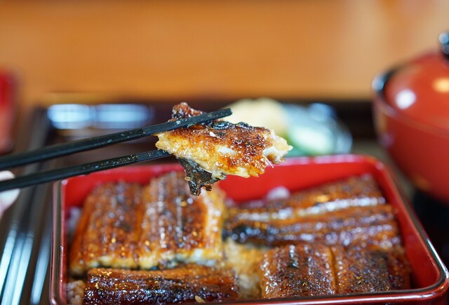 Sumiyaki Unagi Aoiya: Aal vom Holzkohlegrill nach Kansai-Art — 4