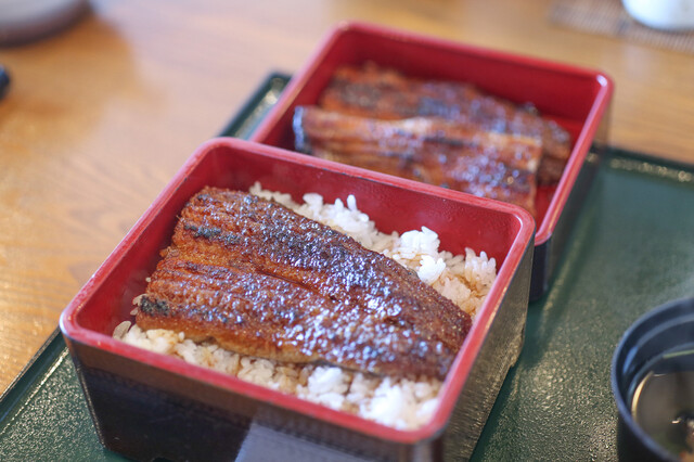 Sumiyaki Unagi Hajime: Aal vom Holzkohlegrill nach Kansai-Art — 5