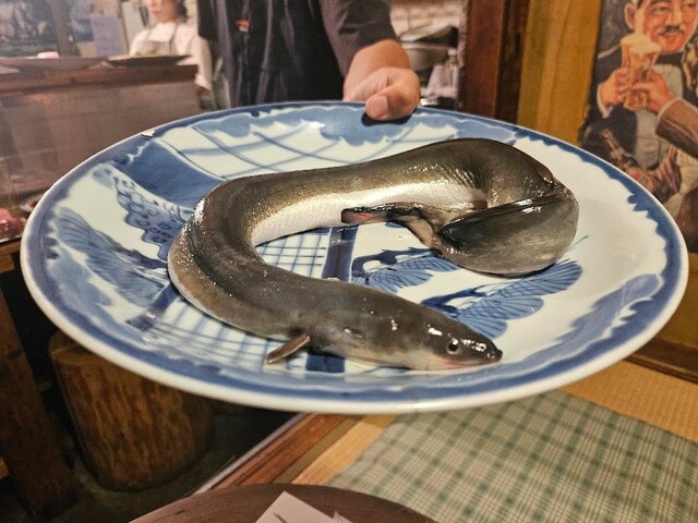 Ueda Shoten: Wild Game Omakase — 4