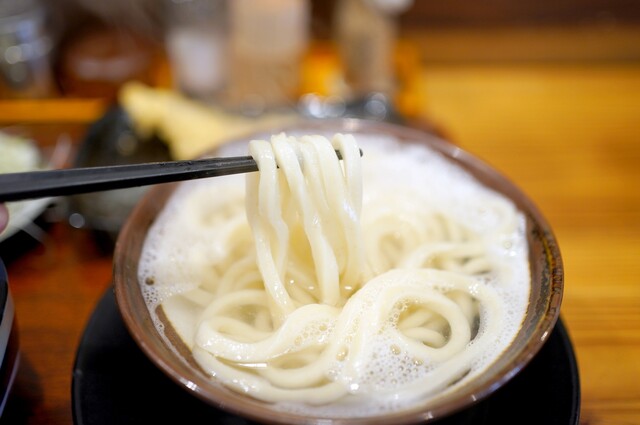 Honkaku Teuchi Iwashiya: Klassische Sanuki-Udon — 5