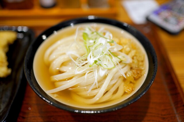 Honkaku Teuchi Iwashiya: Klassische Sanuki-Udon — 1