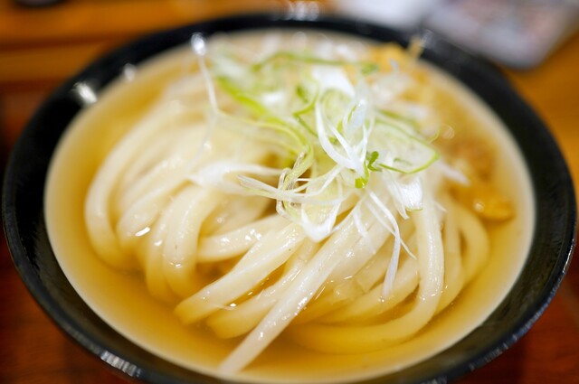 Honkaku Teuchi Iwashiya: Klassische Sanuki-Udon — 4