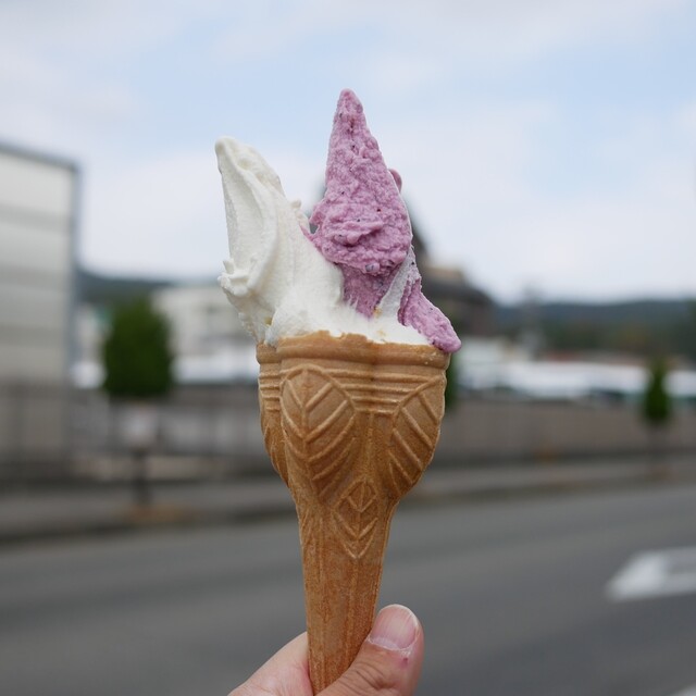 G.ELM: Gelato aus Hofmilch und Früchten von Awaji — 5