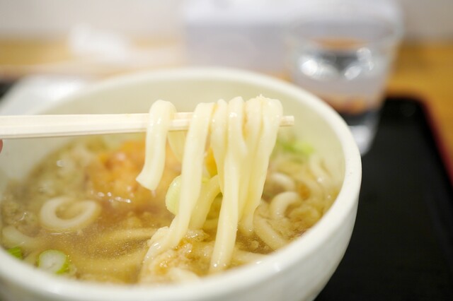 Honkaku Sanuki Udon Honoka: Robuste, handgemachte Sanuki-Udon — 2