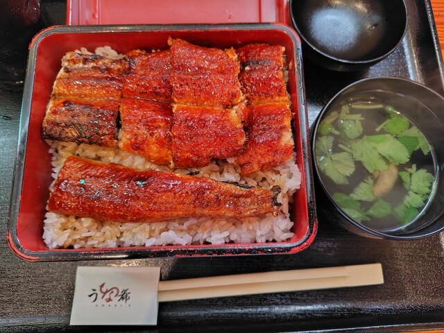 Unaki: gegrillter Aal nach Kansai-Art an der Theke — 4