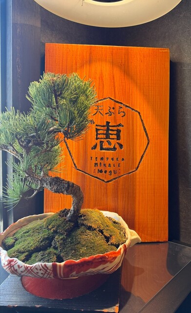 Tempura Meg: Artisan Counter Tempura — 3