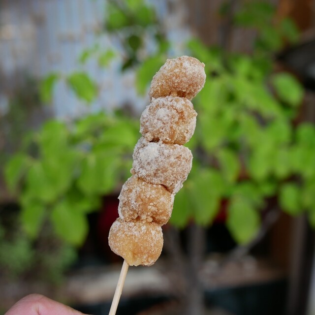 Dango Sho Yagi ten: Handgemachte Kinako Dango — 1