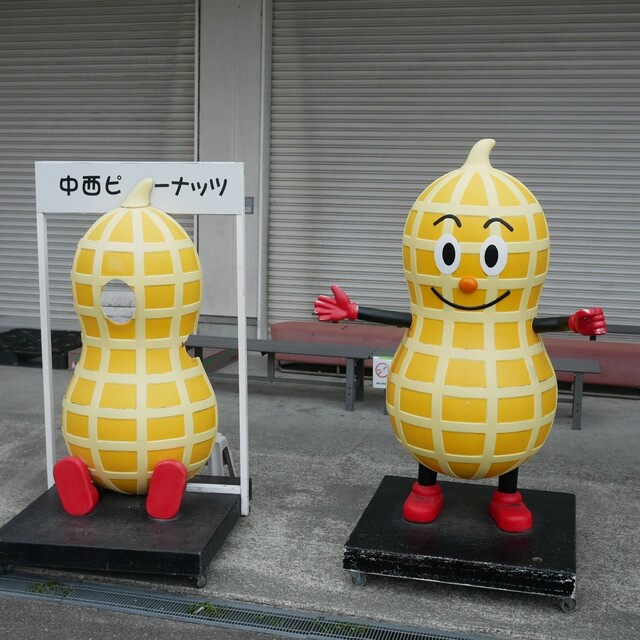 Nakanishi Peanuts: Erdnusssnacks direkt ab Werk — 1