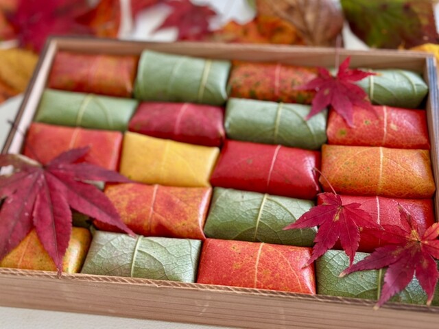 Kaki no Ha Osushi Yamanobe Sakurai honten: traditionelles Kakinoha-Sushi — 1