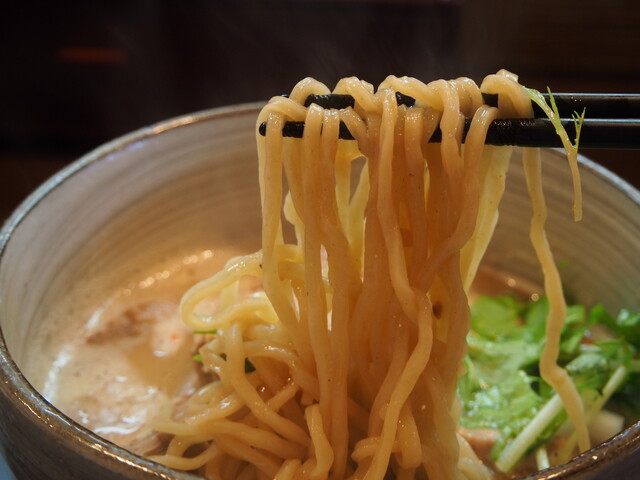 Men Tokoro To Ichi: Rich Double-Soup Ramen — 5