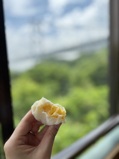 Hassaku Ya: Zitrus-Daifuku mit Meerblick — 3
