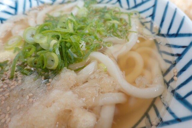 Udon Sakaeda: Sanuki-Udon zur Selbstbedienung mit Iriko-Dashi — 2