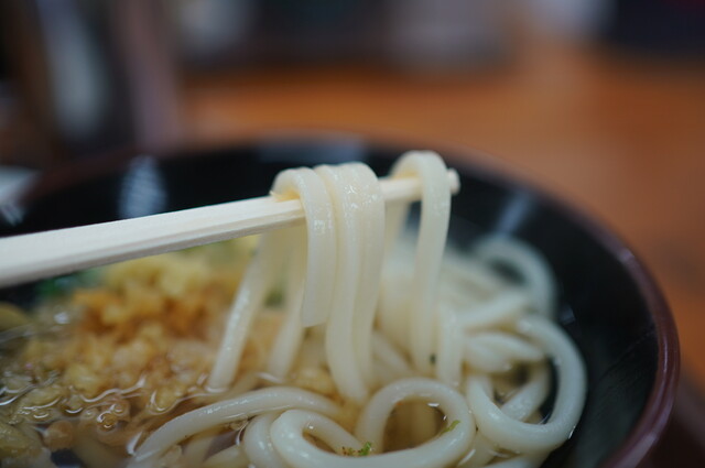 Sanuki Udon Ueharaya Honten: Udon zur Selbstbedienung — 3