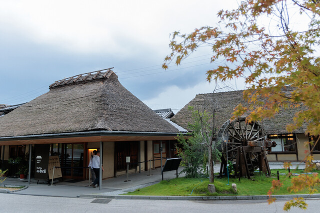 Zaigoudon Honke Waraya: Kamaage-Udon im Bauernhaus — 2