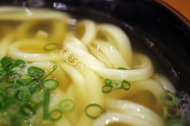 Honkaku Teuchi Moriya: handgemachte Udon mit Riesen-Kakiage — 4