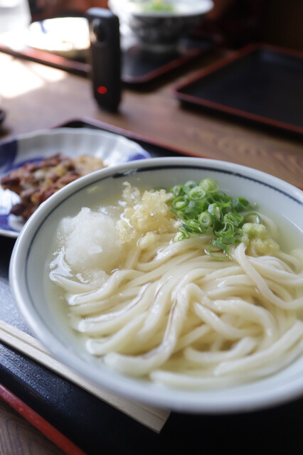 Udon Ippuku: Sanuki-Udon mit dünnen, bissfesten Nudeln — 5