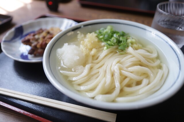 Udon Ippuku: Sanuki-Udon mit dünnen, bissfesten Nudeln — 1