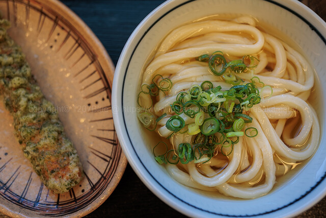 Miyatake Udon: handgeschnittene Sanuki-Udon, heiß oder kalt — 1