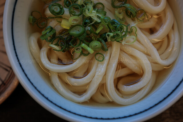 Miyatake Udon: handgeschnittene Sanuki-Udon, heiß oder kalt — 5