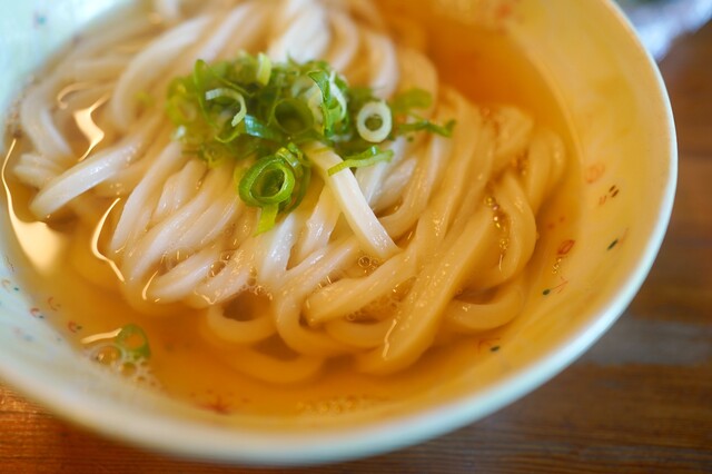 Miyoshi Udon: handgeschnittene Udon im Blockhaus — 2
