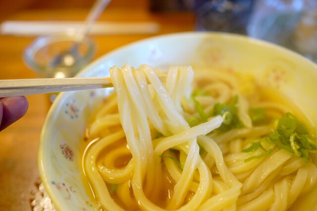 Miyoshi Udon: handgeschnittene Udon im Blockhaus — 3